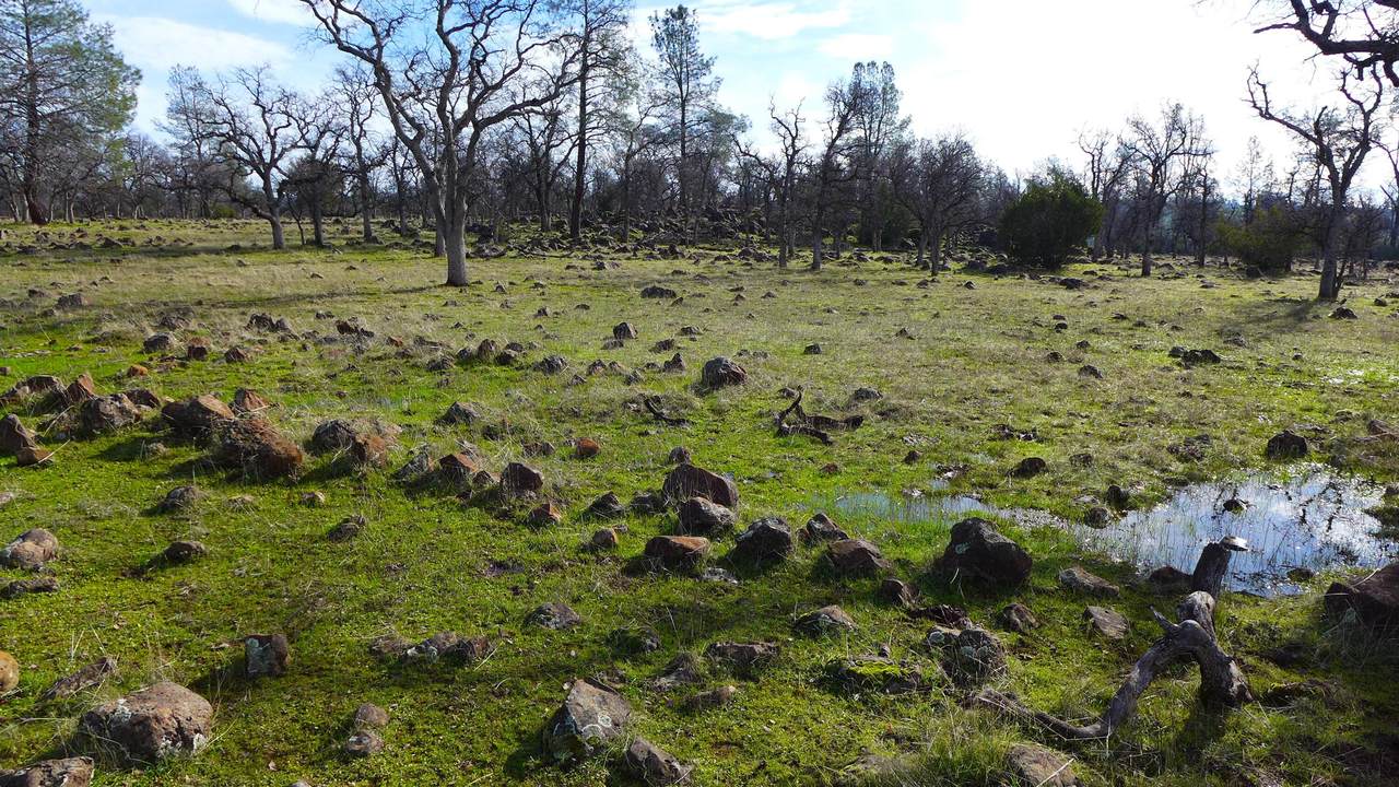 Lot 20 Ash Creek Road - Photo 1