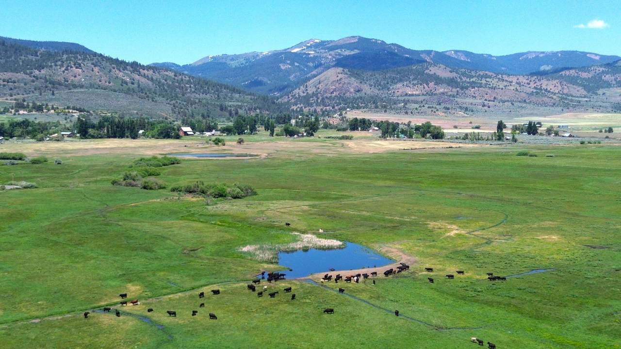 Lot 39/40 Fee Road - Photo 1