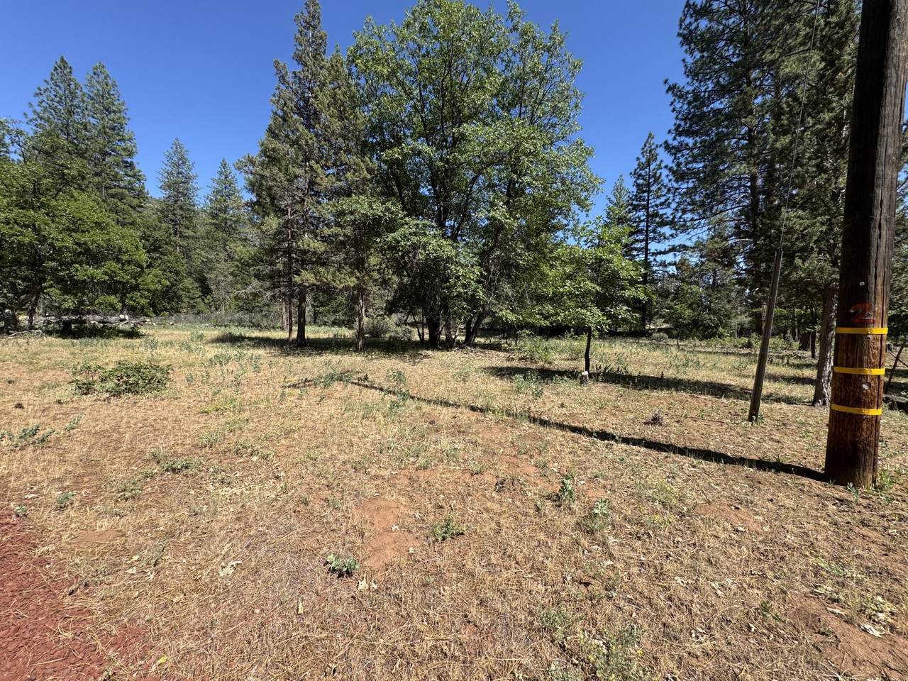 XXX Old Brown Ranch Road - Photo 1