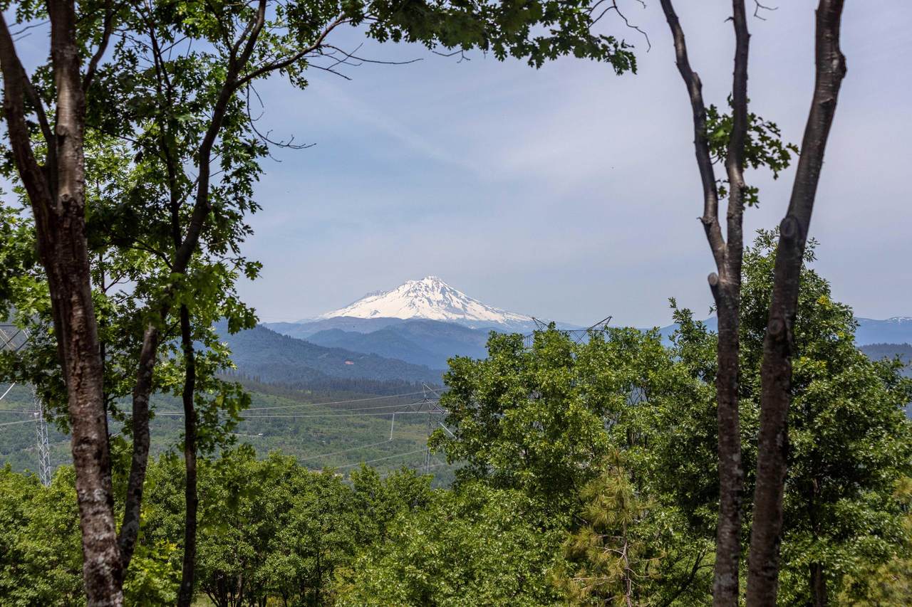 https://bt-photos.global.ssl.fastly.net/shasta/1280_boomver_1_25-2902-2.jpg