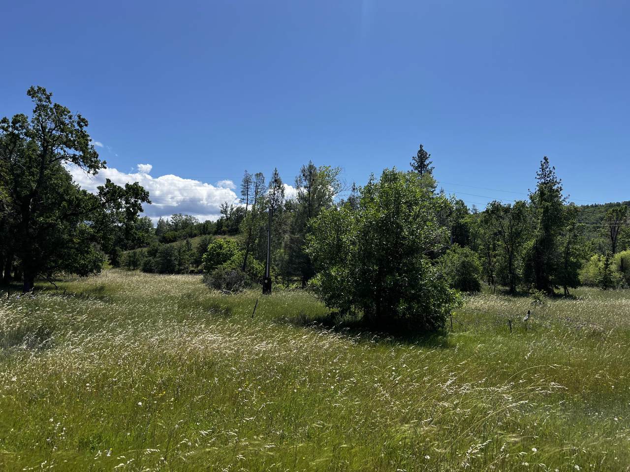 https://bt-photos.global.ssl.fastly.net/shasta/1280_boomver_1_25-2919-2.jpg
