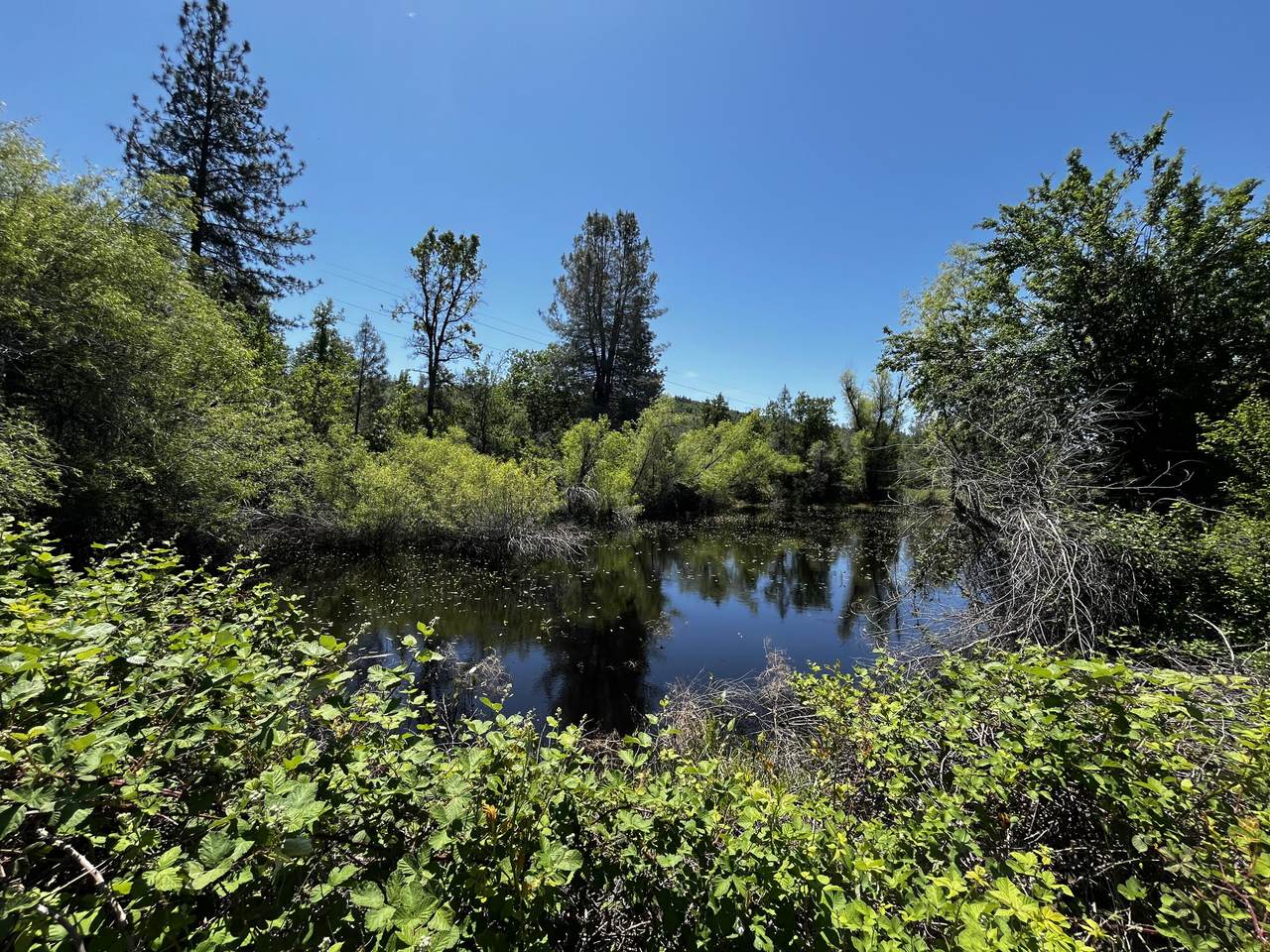 https://bt-photos.global.ssl.fastly.net/shasta/1280_boomver_1_25-2919-2.jpg