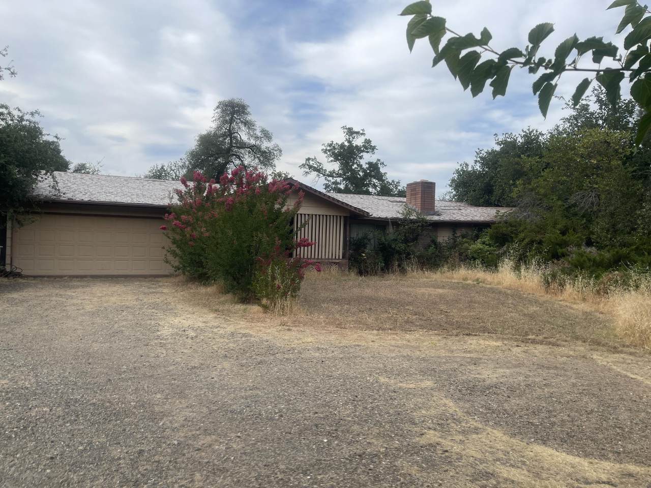 1110 Dusty Lane - Photo 1