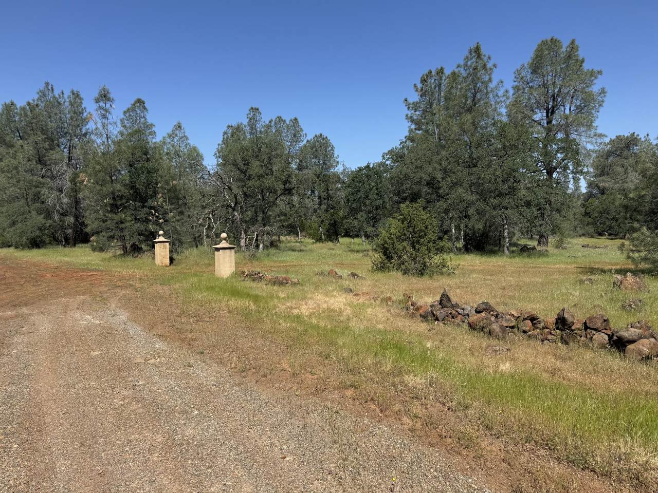 Buffalo Drive - Photo 1
