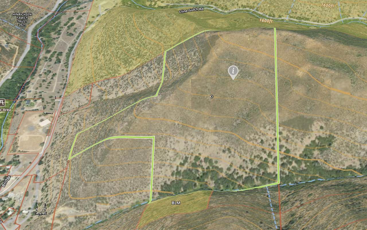 69.79 Cline Gulch Road - Photo 1