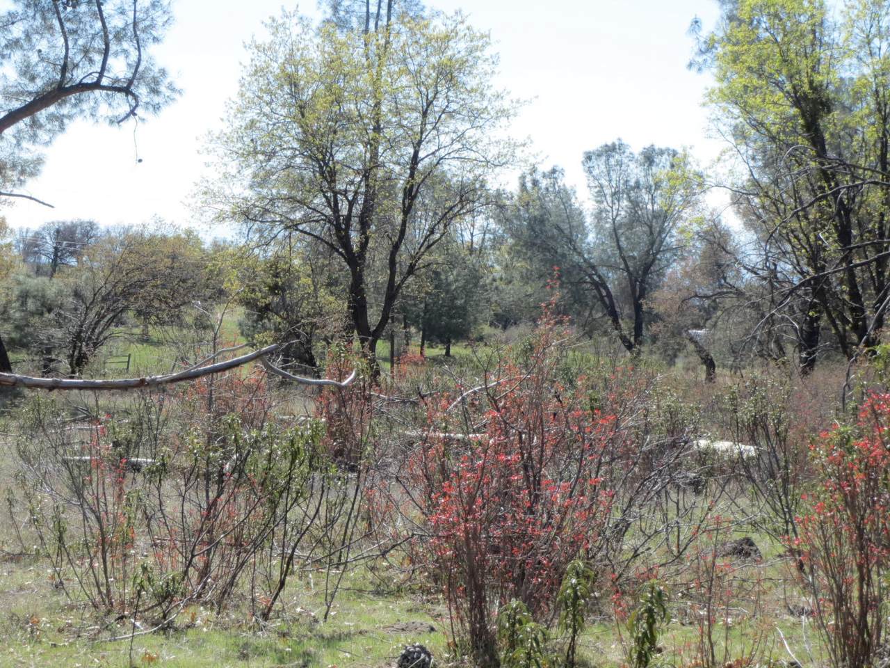 Battleview Dr - Photo 1