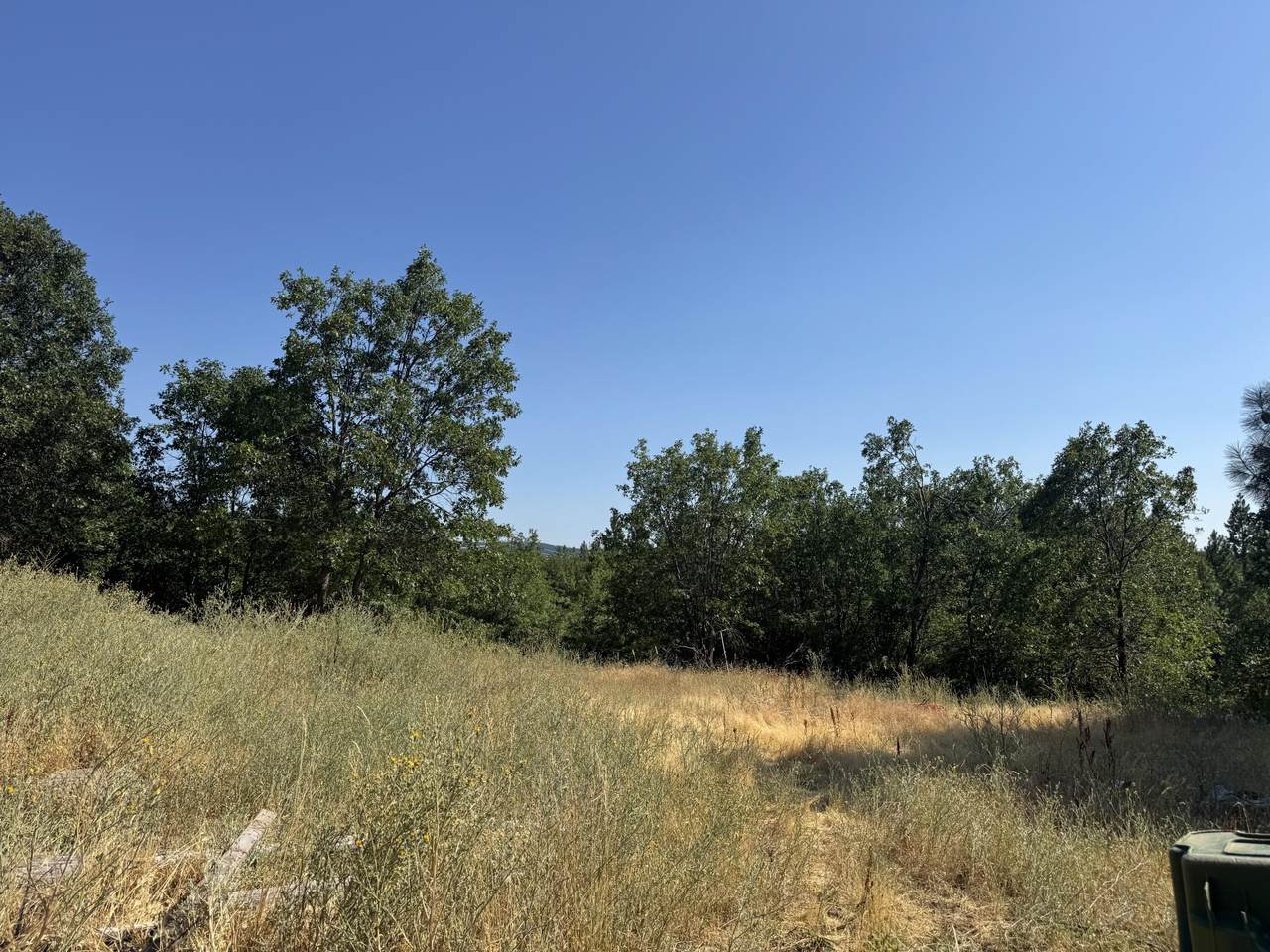 30769 Hardin Road - Photo 1