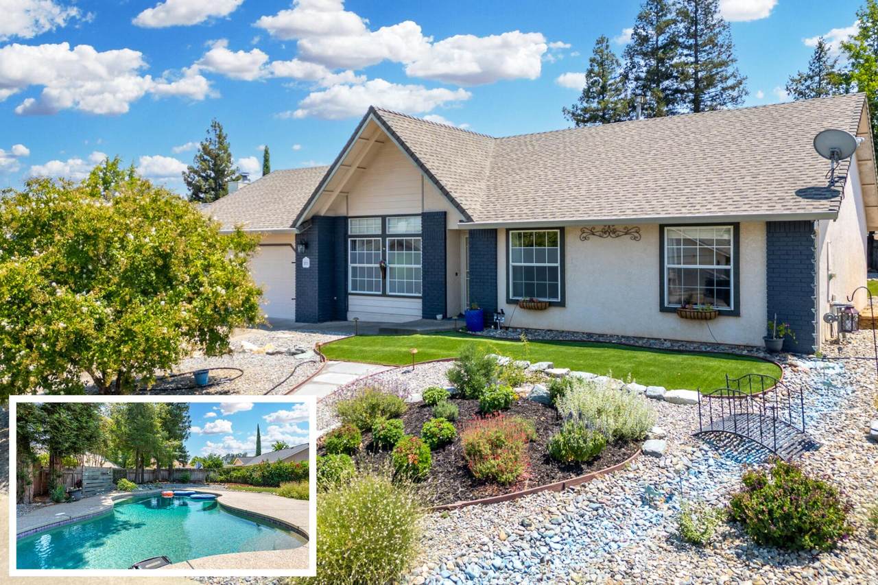 2773 Crystal Tree Drive - Photo 1