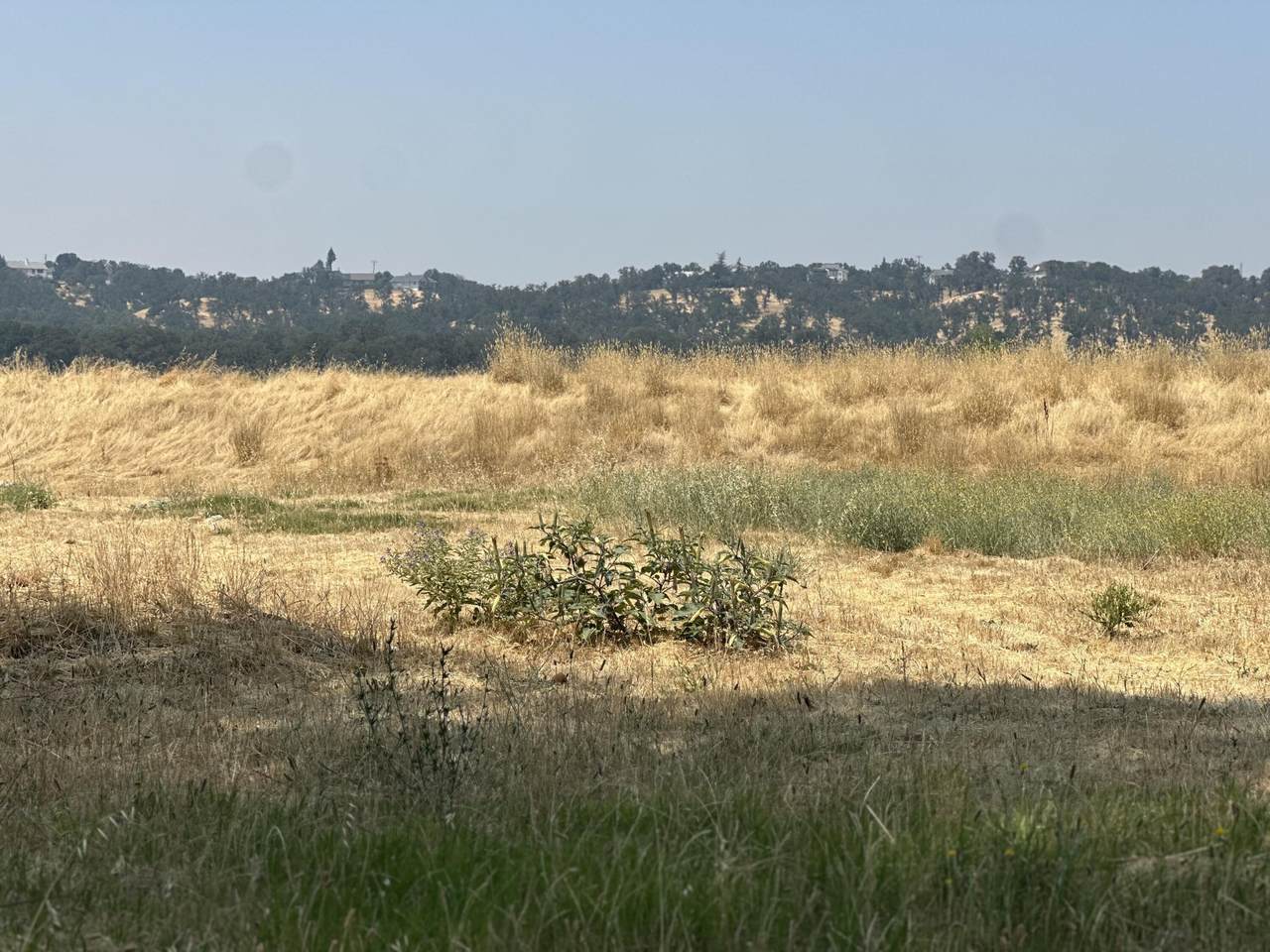 22626 Rio Alto Drive - Photo 1