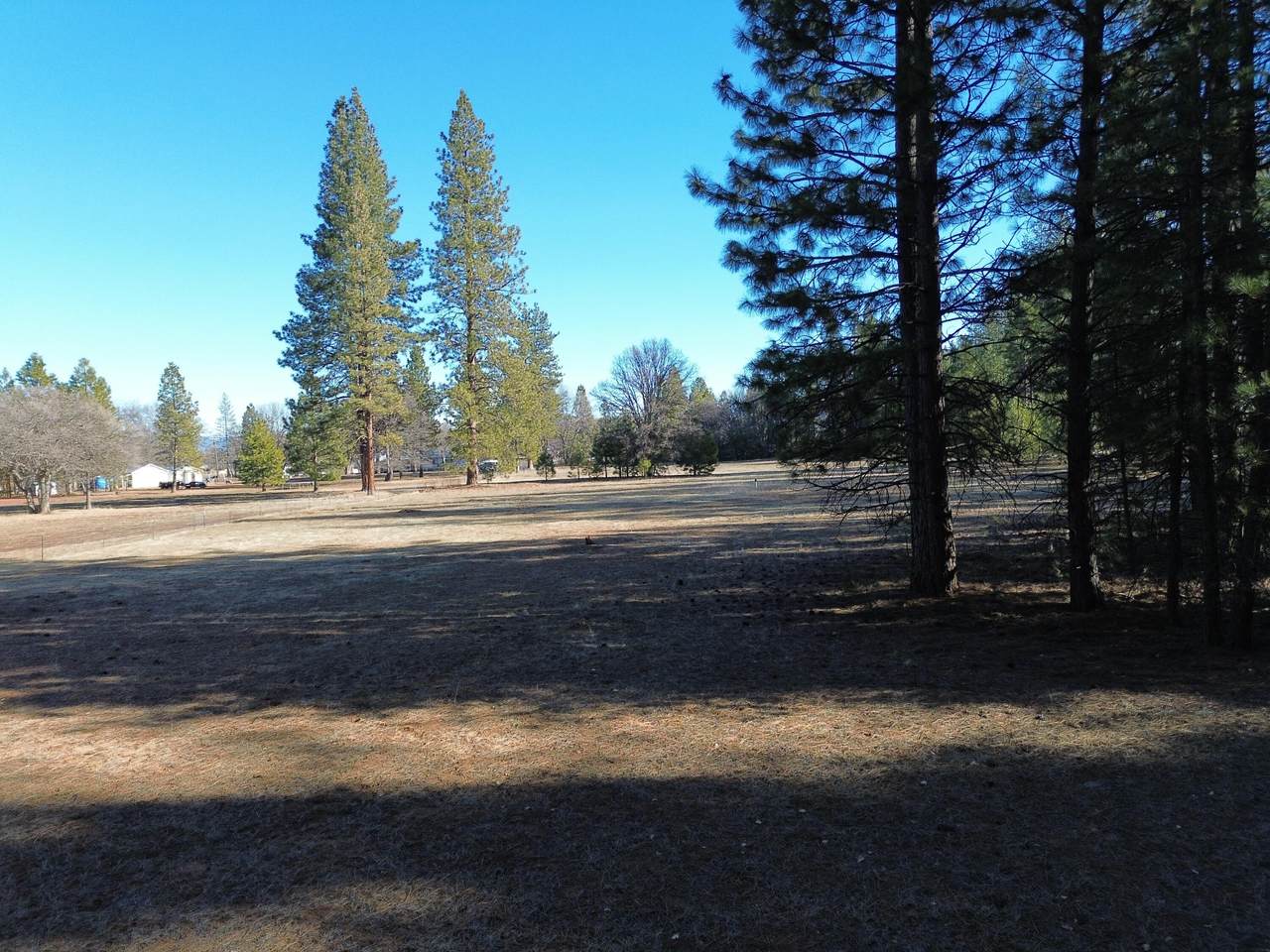 https://bt-photos.global.ssl.fastly.net/shasta/1280_boomver_1_25-324-2.jpg