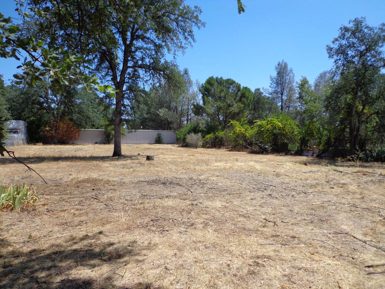 12009 Theresa Ln - Photo 1
