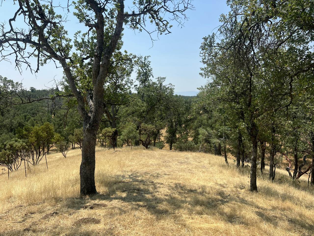 63 Little Oak Lane - Photo 1