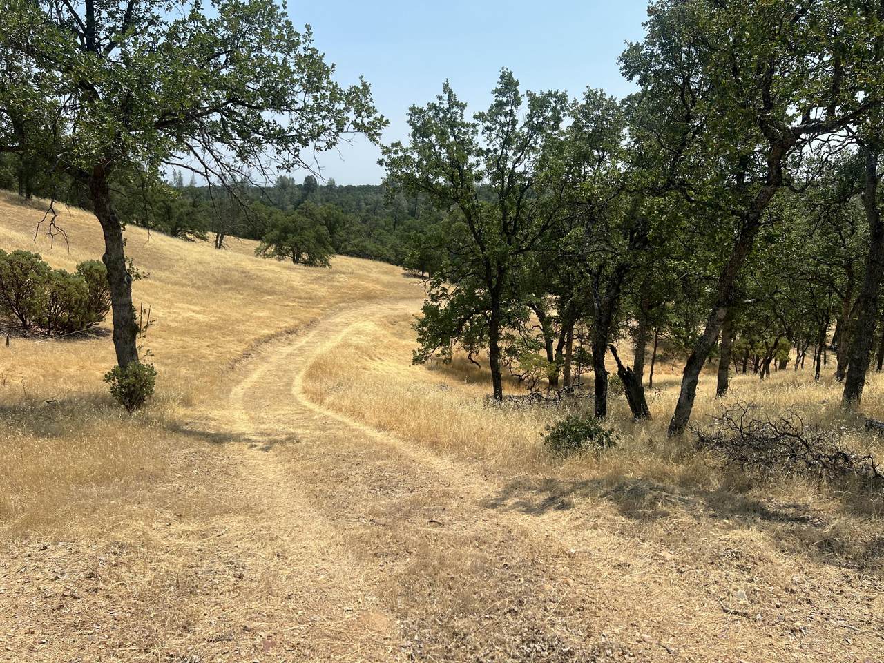 https://bt-photos.global.ssl.fastly.net/shasta/1280_boomver_1_25-3256-2.jpg