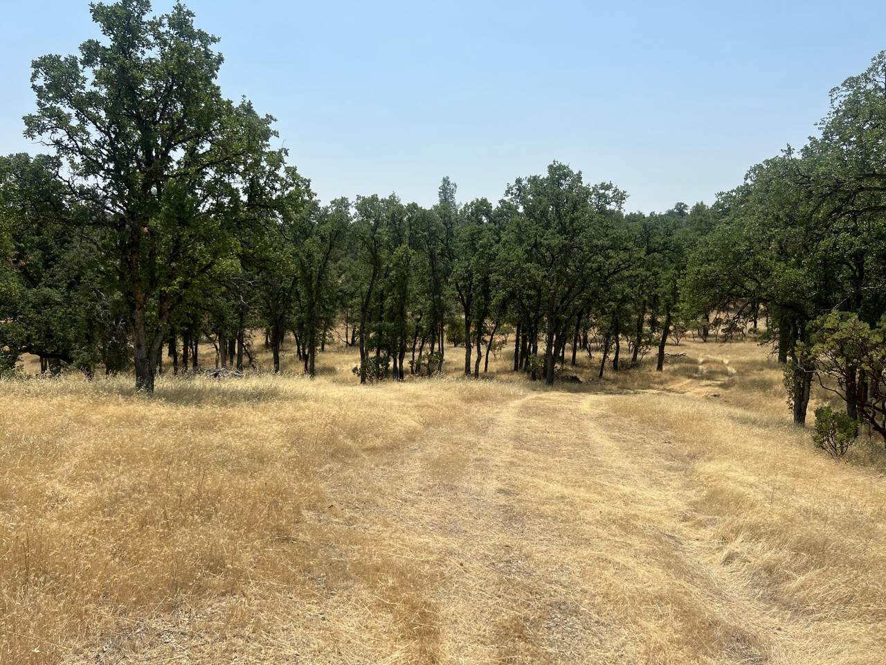 https://bt-photos.global.ssl.fastly.net/shasta/1280_boomver_1_25-3256-2.jpg