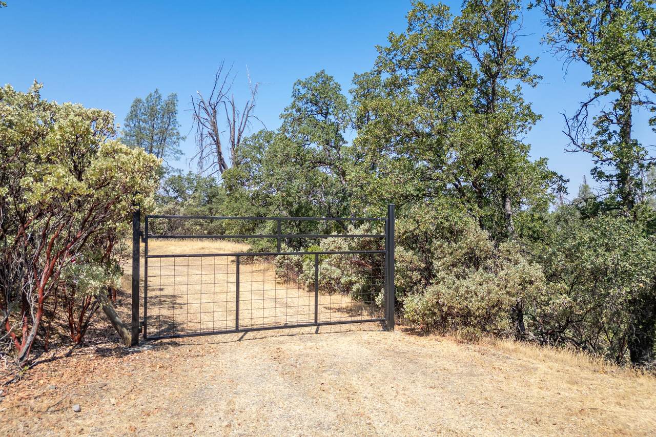 20 Acres Rolling Ridge Road - Photo 1