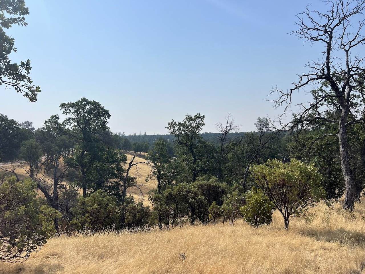 17125 Quail Ridge Road - Photo 1