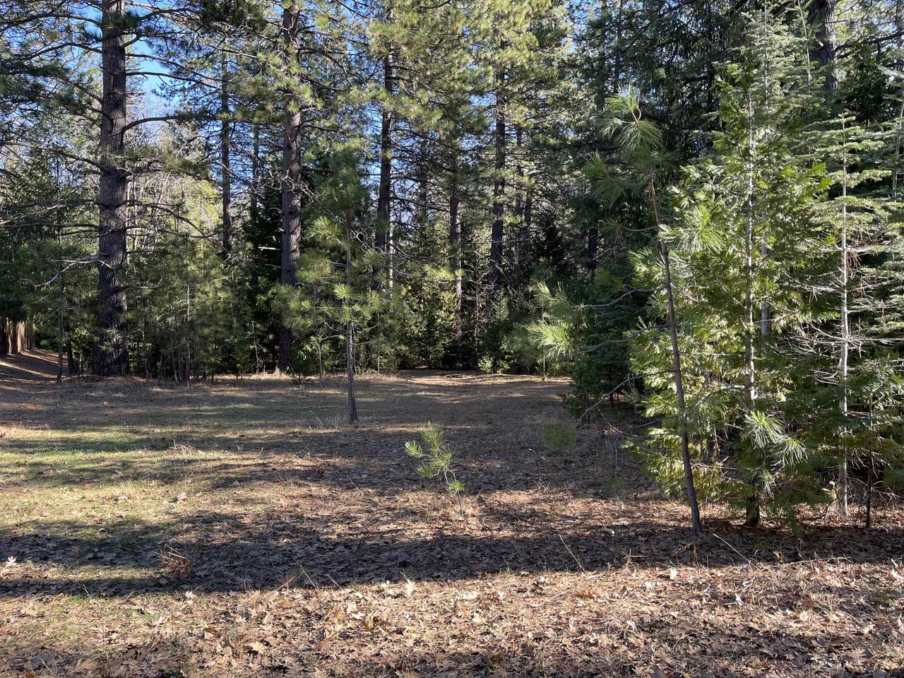 Emigrant Trail - Photo 1