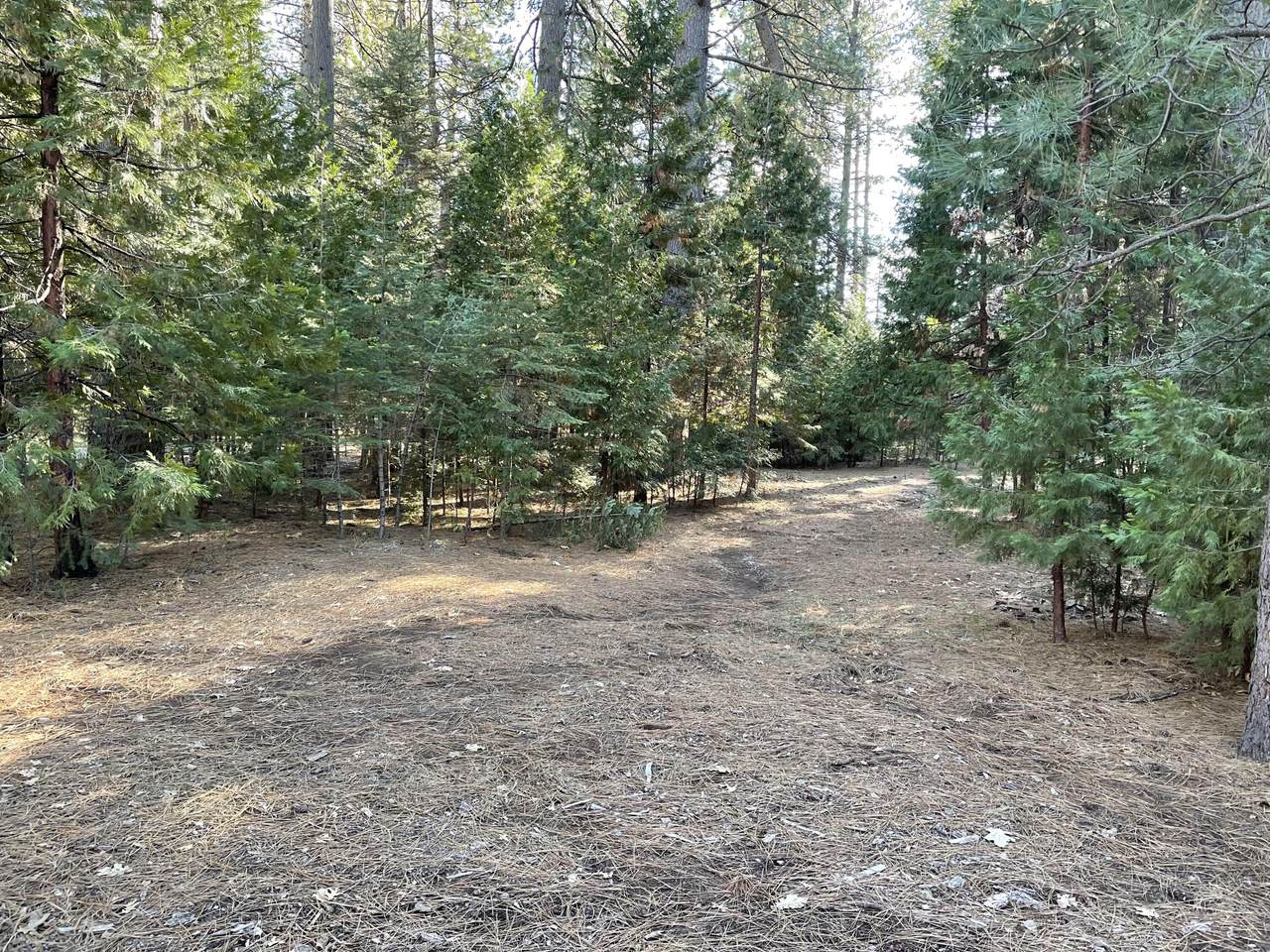 https://bt-photos.global.ssl.fastly.net/shasta/1280_boomver_1_25-3325-2.jpg