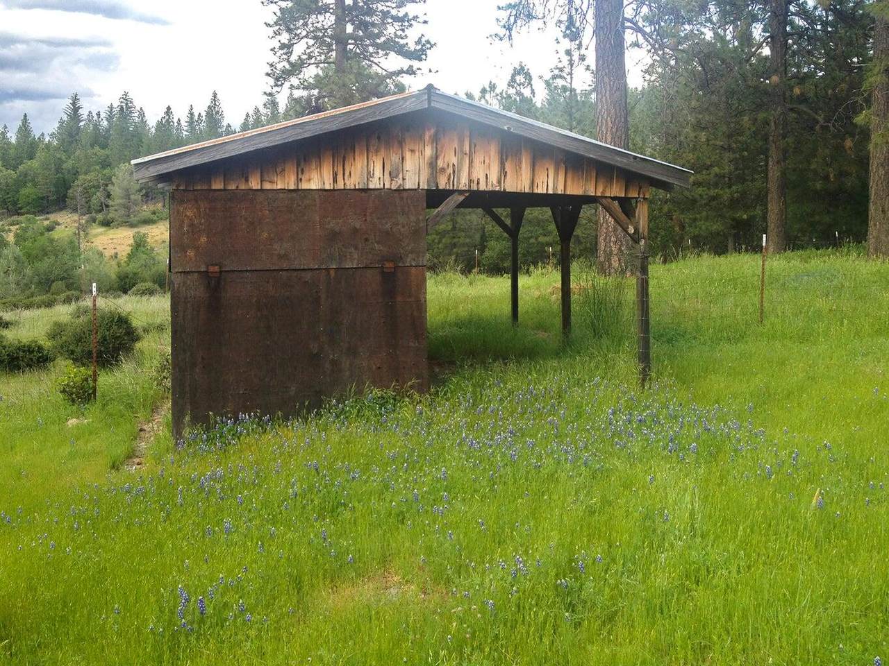 https://bt-photos.global.ssl.fastly.net/shasta/1280_boomver_1_25-3344-2.jpg