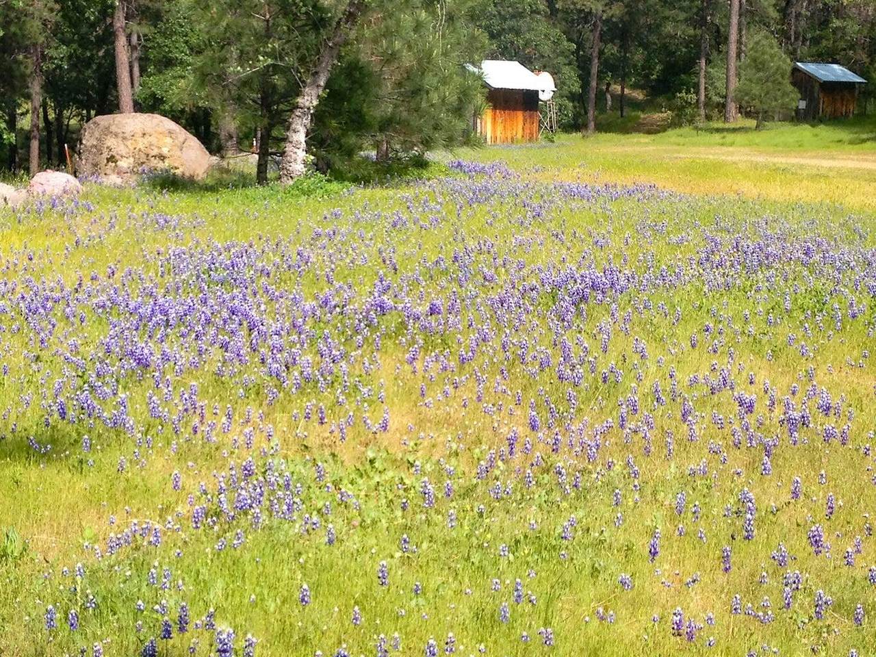 https://bt-photos.global.ssl.fastly.net/shasta/1280_boomver_1_25-3344-2.jpg