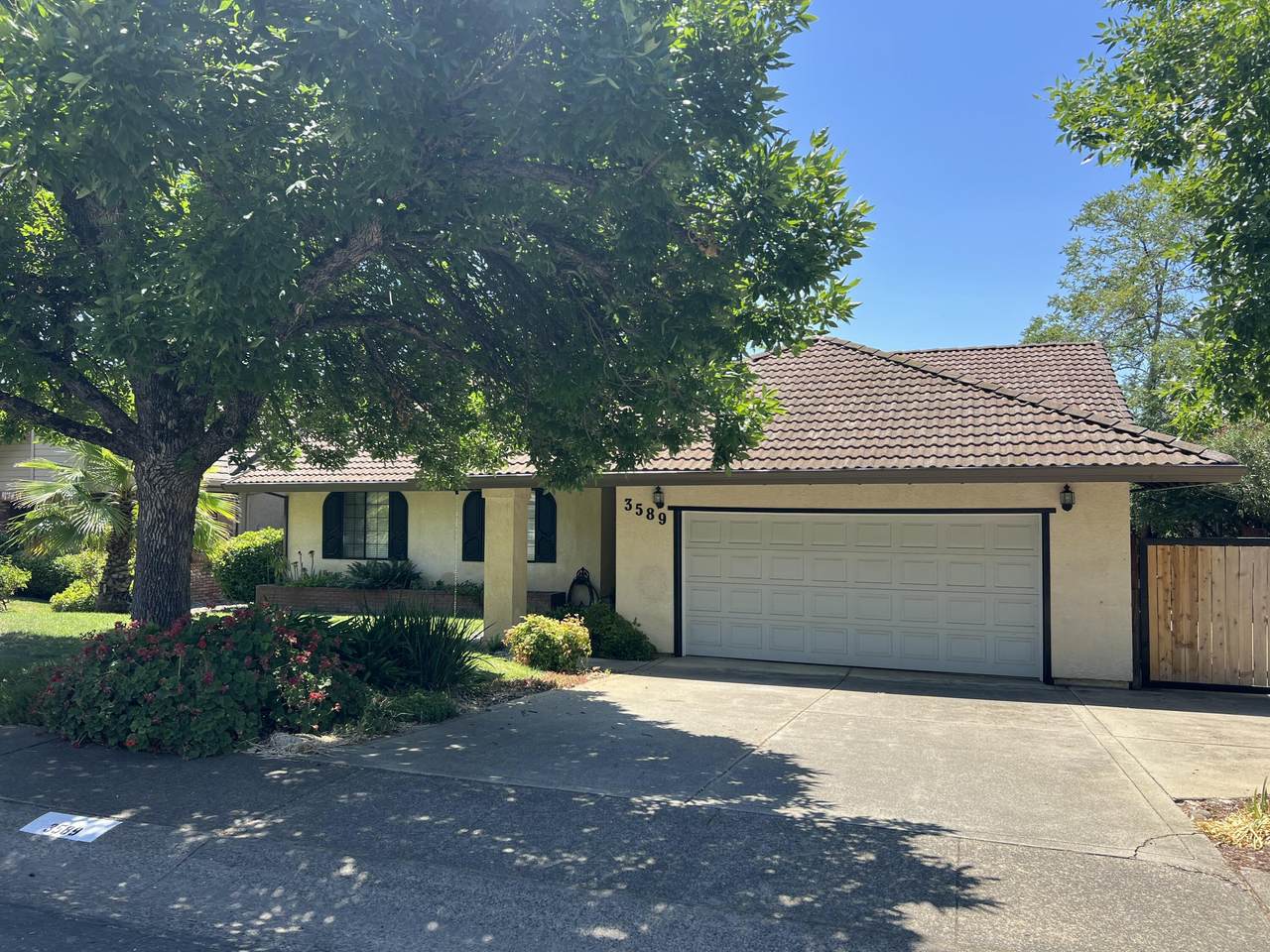 3589 Wasatch Drive - Photo 1