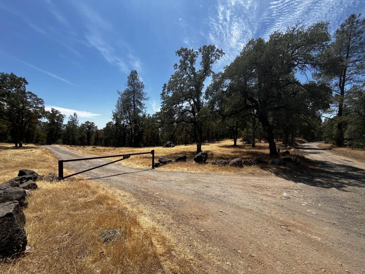 Backbone Road - Photo 1