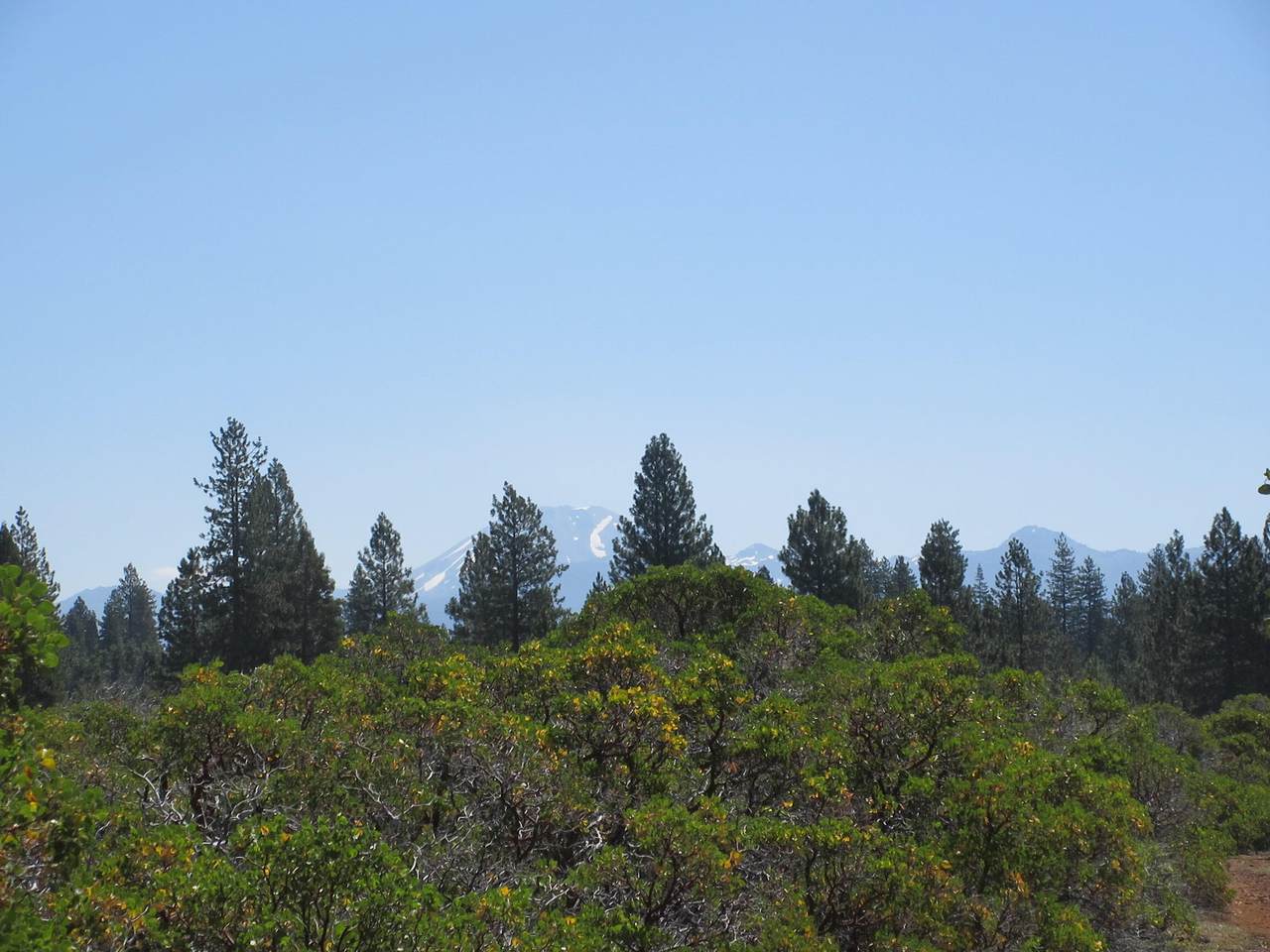 2.5 acres Sky Tree Lane - Photo 1