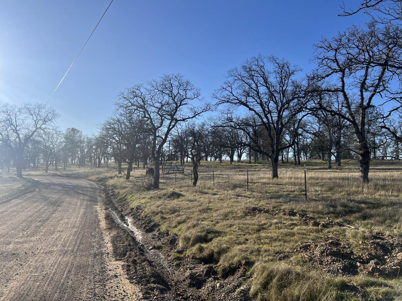 22884 Antler Road - Photo 1