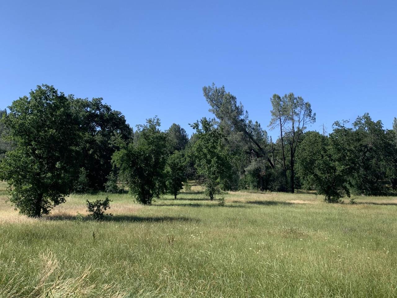  Wonderland Boulevard - Photo 1