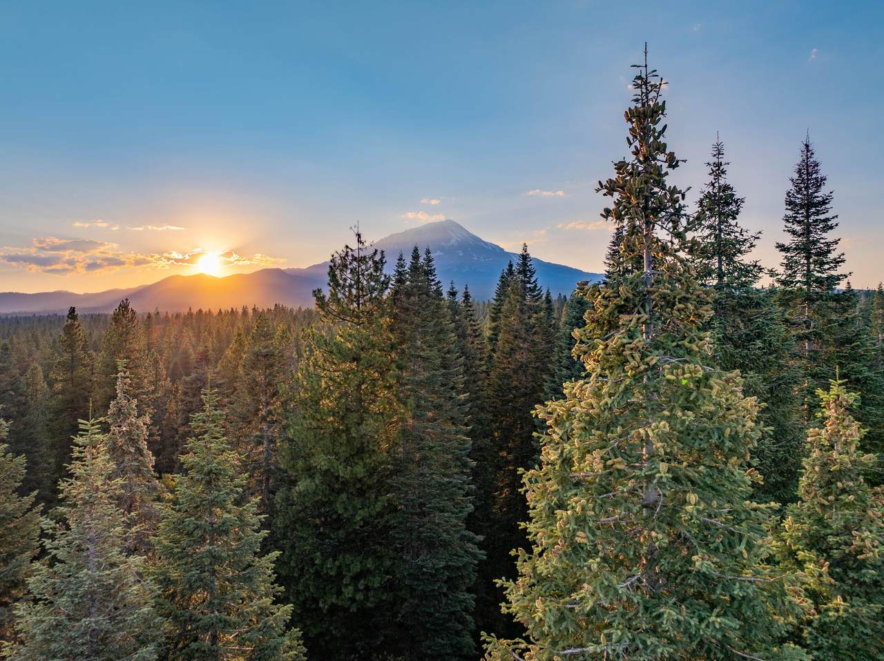  Pilgrim Creek Road - Photo 1