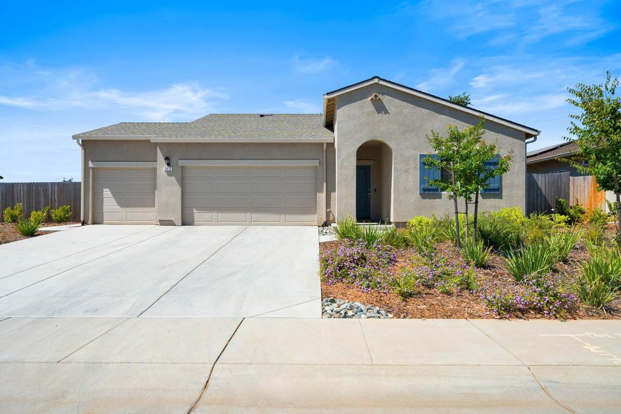 3817 Thea Drive - Photo 1