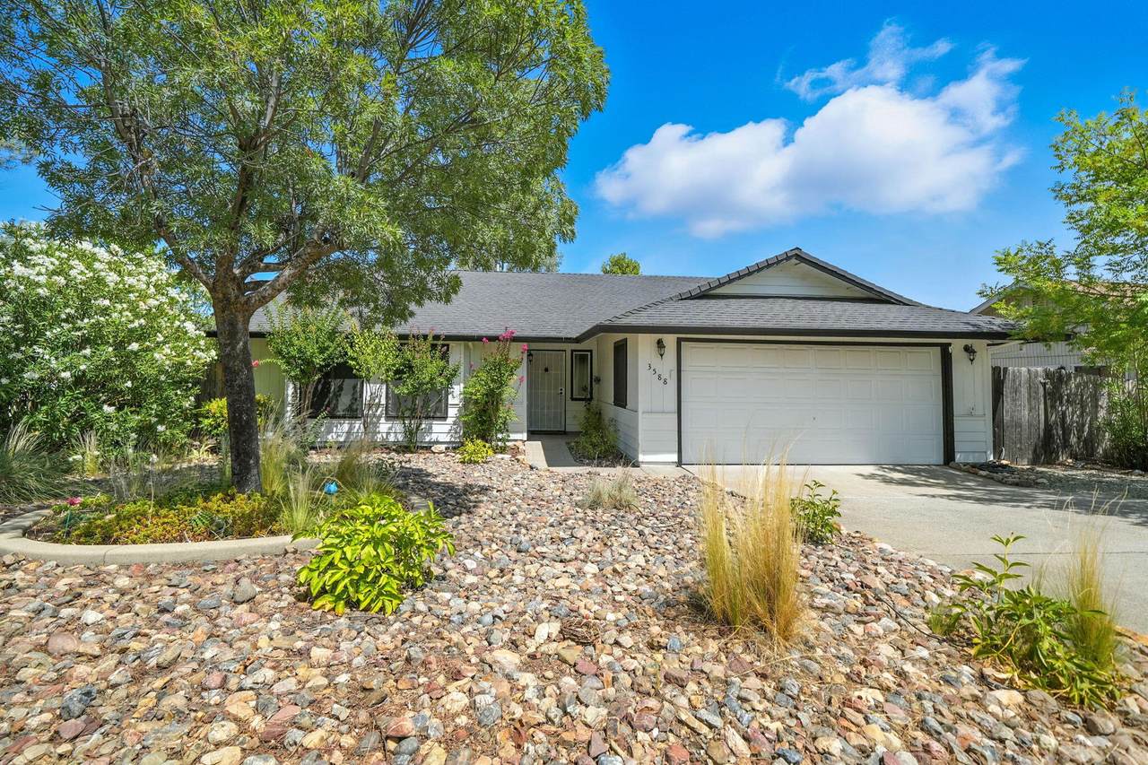 3588 Magnums Way - Photo 1