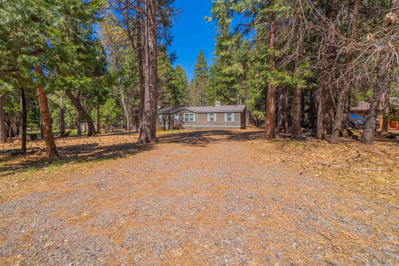 30696 Thumper Drive - Photo 1