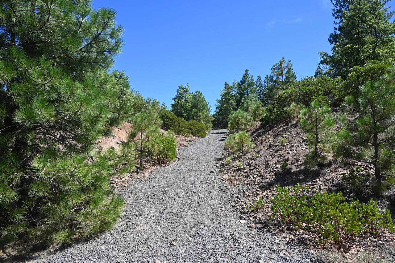 007 Kirby Court - Photo 1