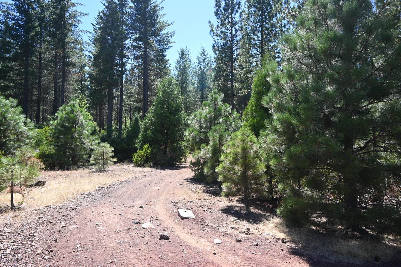 014 Chad Court - Photo 1