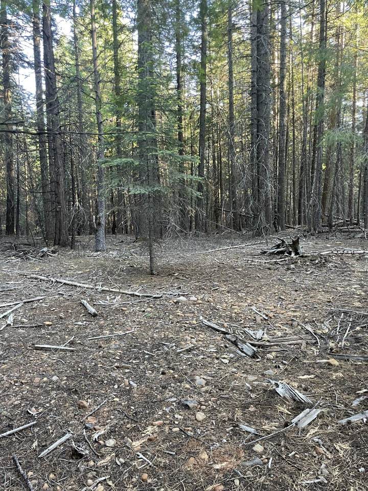  Shenandoah Drive - Photo 1