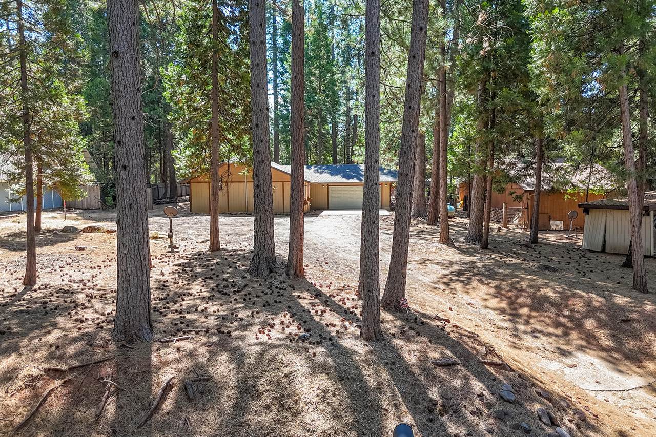 7355 Shasta Forest Drive - Photo 1