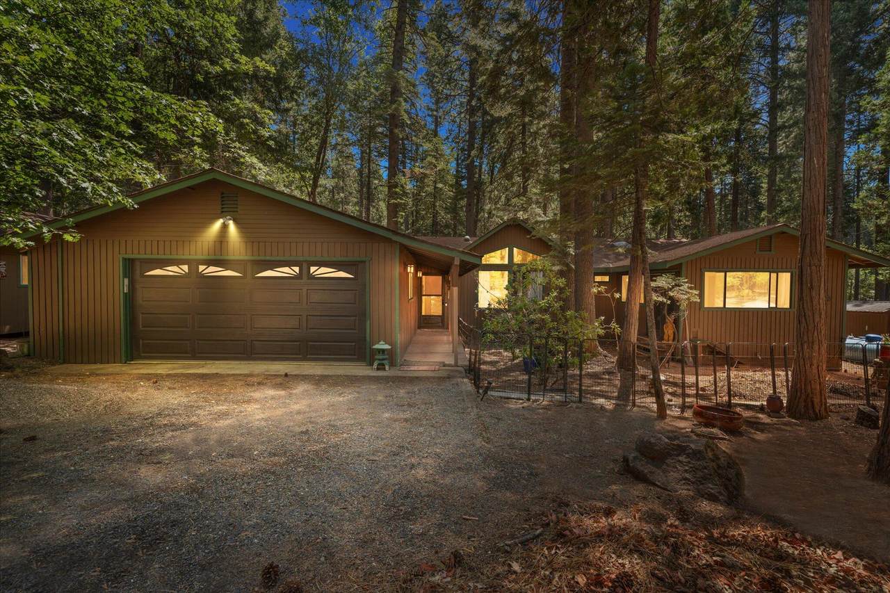 30925 Thumper Drive - Photo 1