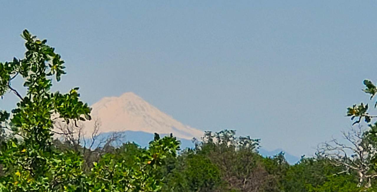  Garrison Road - Photo 1