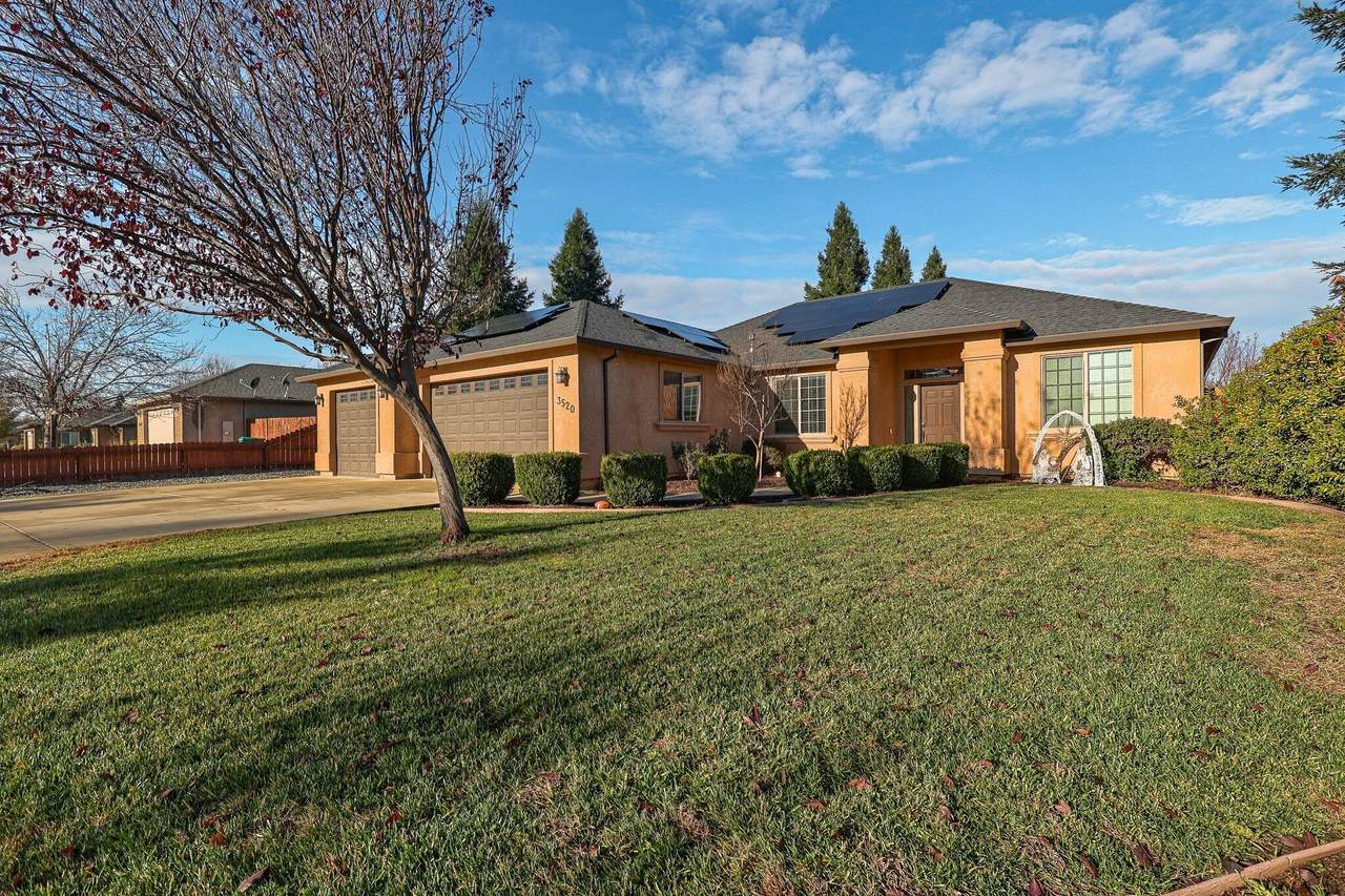 3520 Humbug Drive - Photo 1