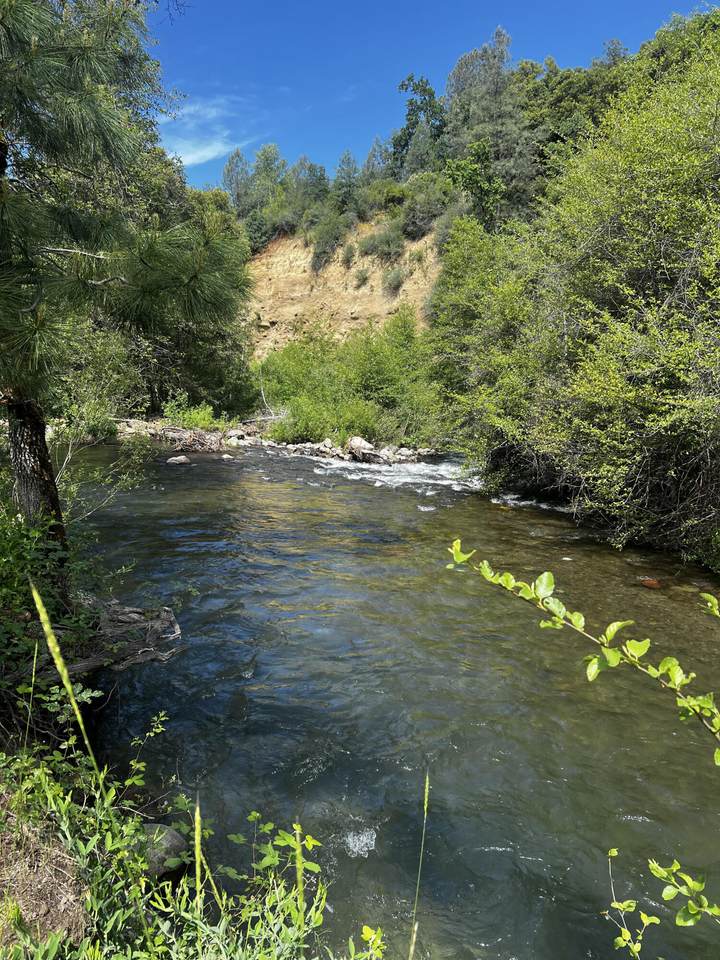  Hidden Springs Lane - Photo 1