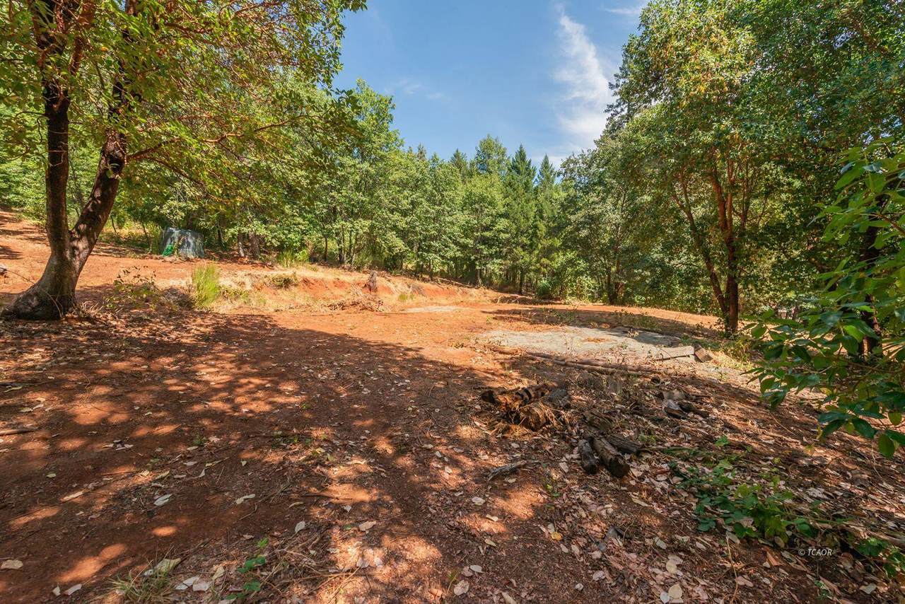 171 Connor Creek Road - Photo 1