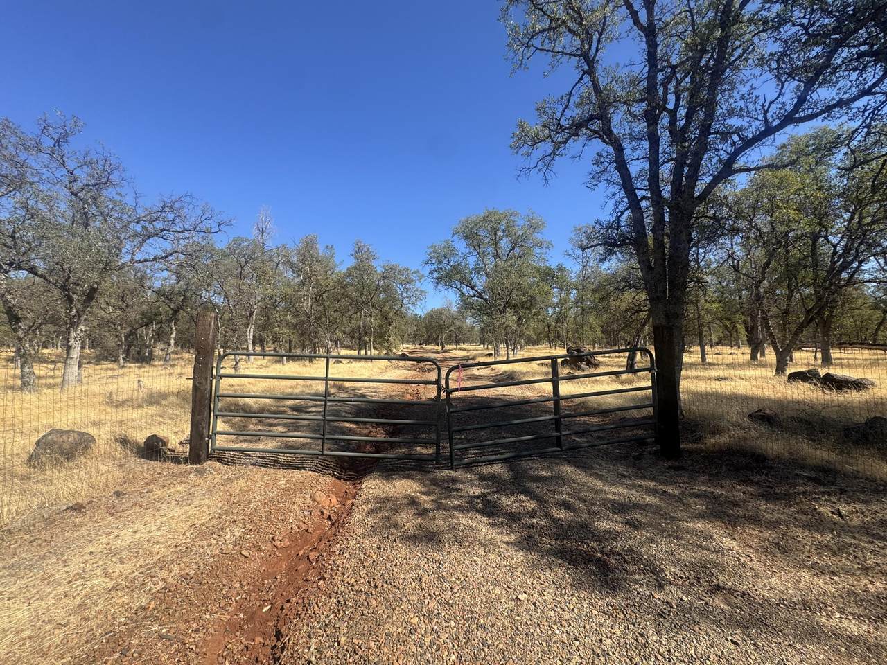 26612 Scharsch Road - Photo 1