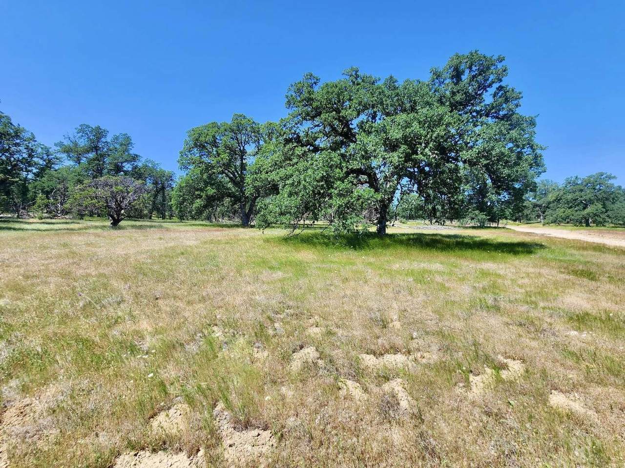 4027 Two Feathers Road - Photo 1