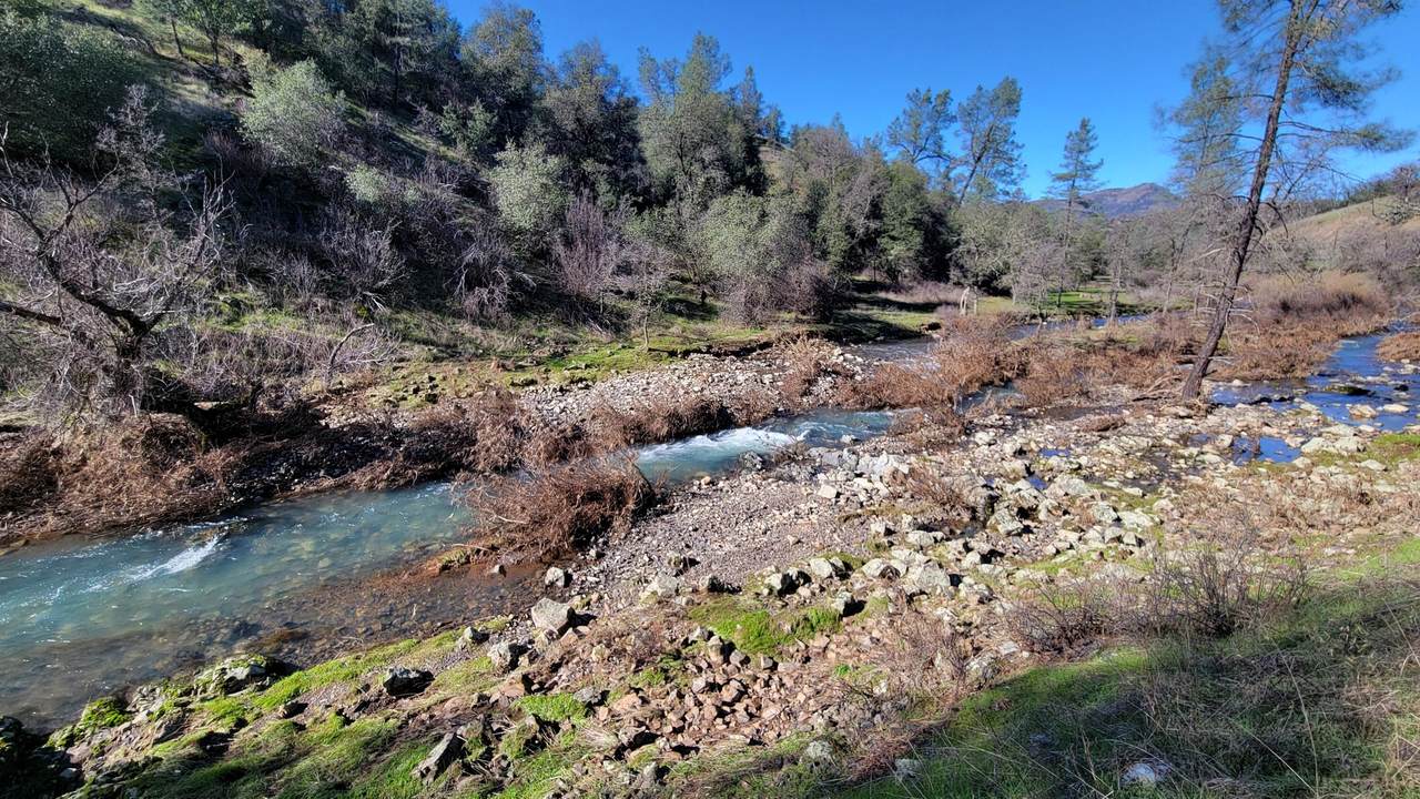Lot 8 Hidden Oaks Trail - Photo 1