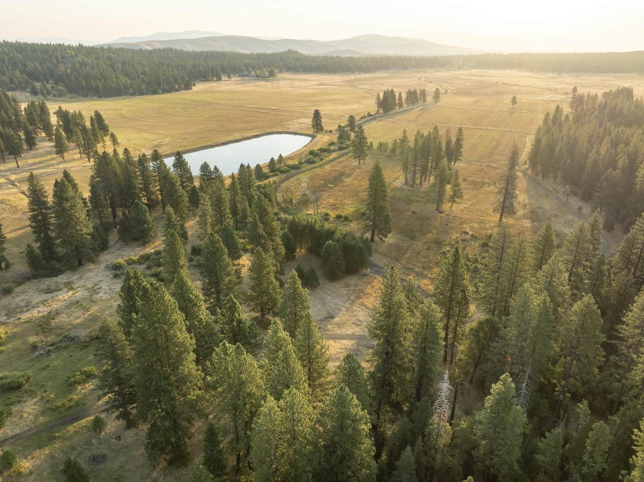 465-577 Elysian Valley Road - Photo 1