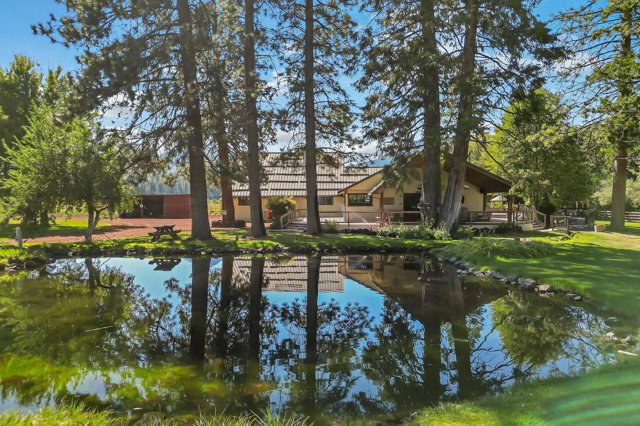 42048 Wilcox Road - Photo 1