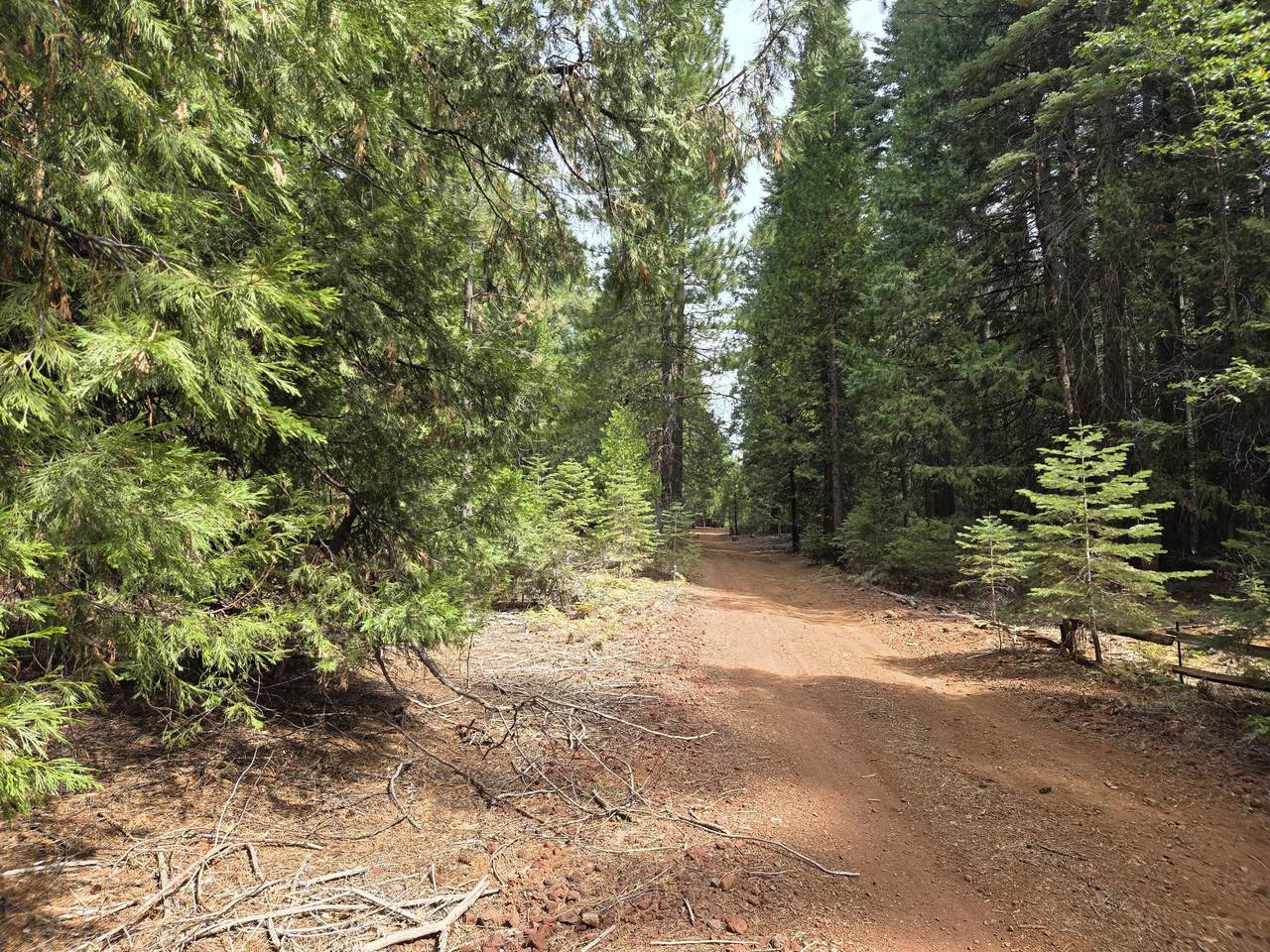 LOT 28&29 Emerald Way - Photo 1