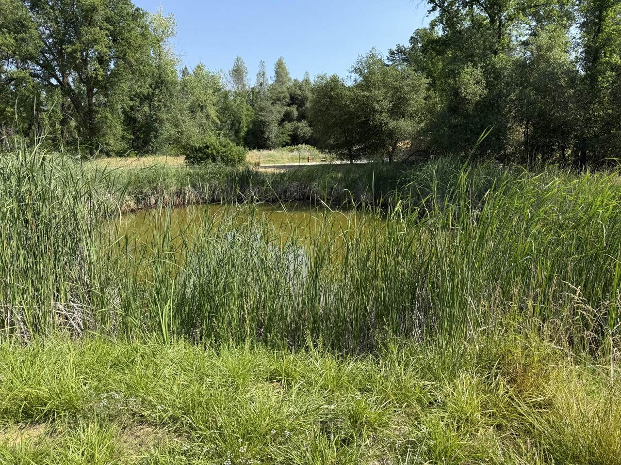 7780 Raven Road - Photo 1