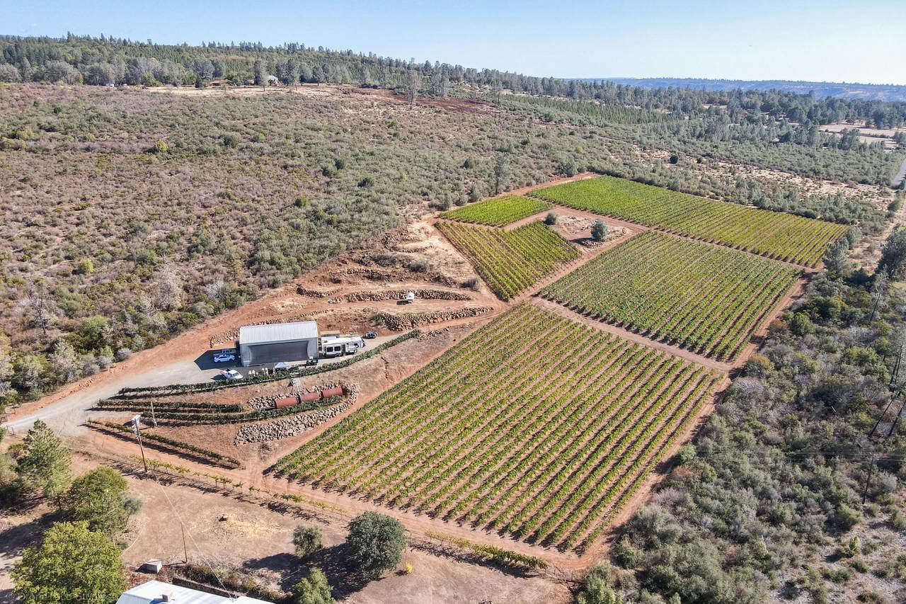 31559 Forwards Mill Road - Photo 1